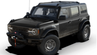 Ford Bronco Everglades