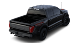 Ford F-150 - BackRight thumbnail