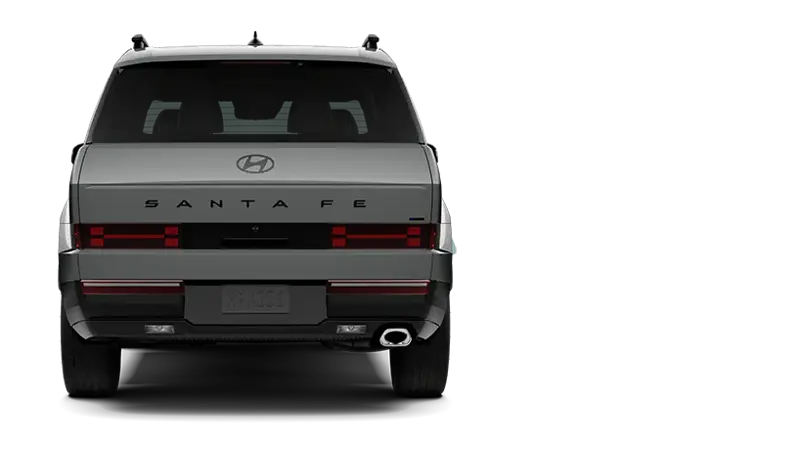 Hyundai Santa fe - Back