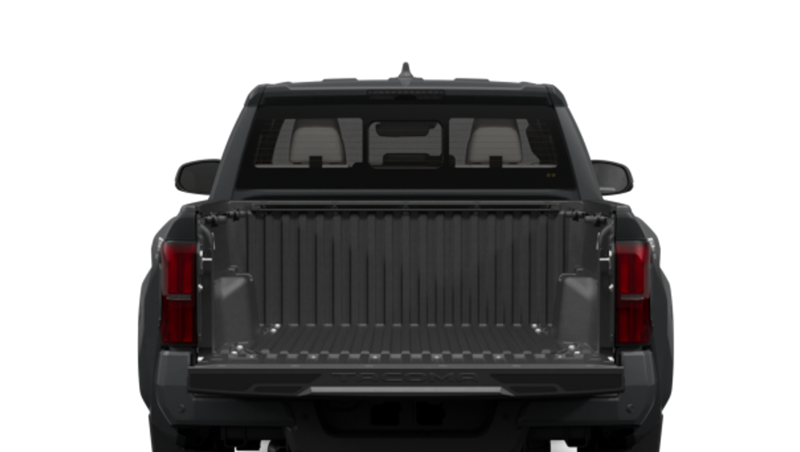 Toyota Tacoma - Back