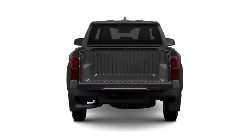 Toyota Tacoma - Back