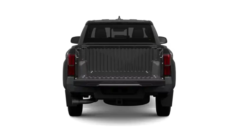 Toyota Tacoma - Back
