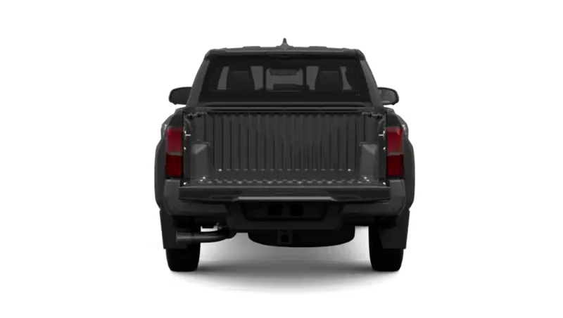 Toyota Tacoma - Back