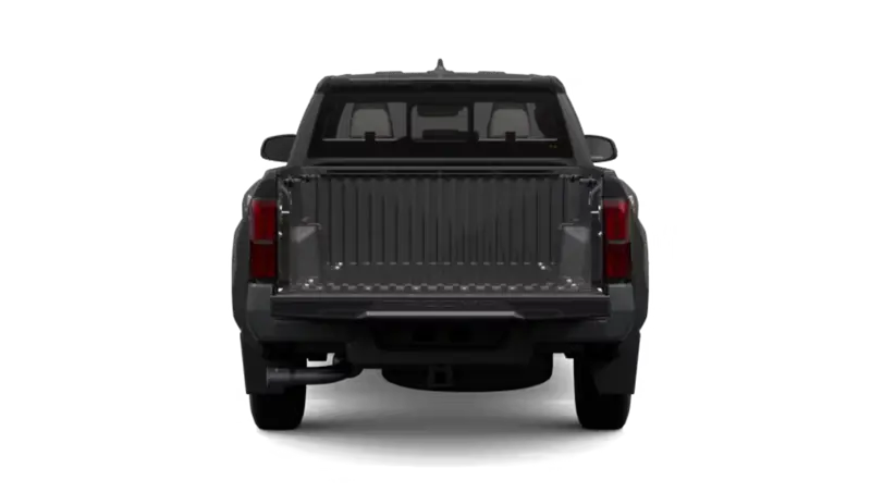 Toyota Tacoma - Back