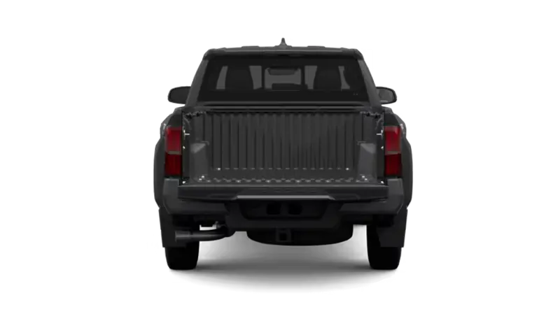 Toyota Tacoma - Back