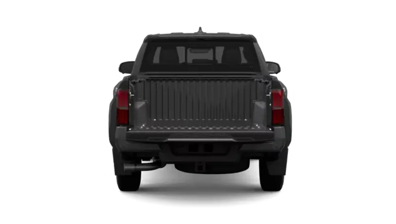 Toyota Tacoma - Back