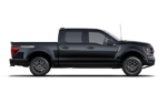 Ford F-150 - Right thumbnail
