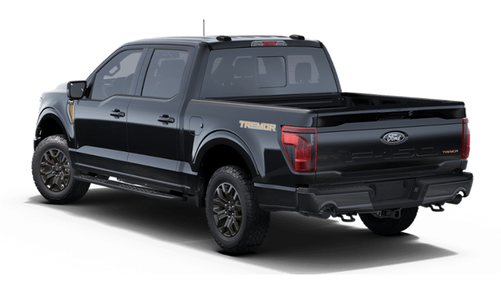 2025 Ford F-150 — BackLeft