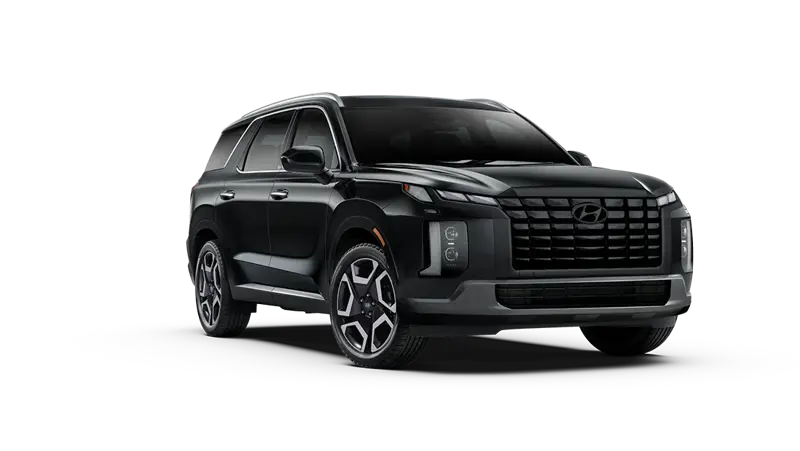 Hyundai Palisade - BackRight