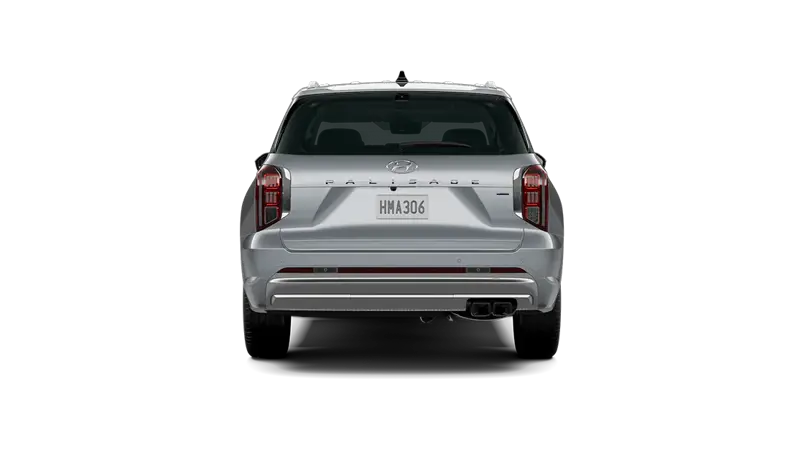 Hyundai Palisade - Back
