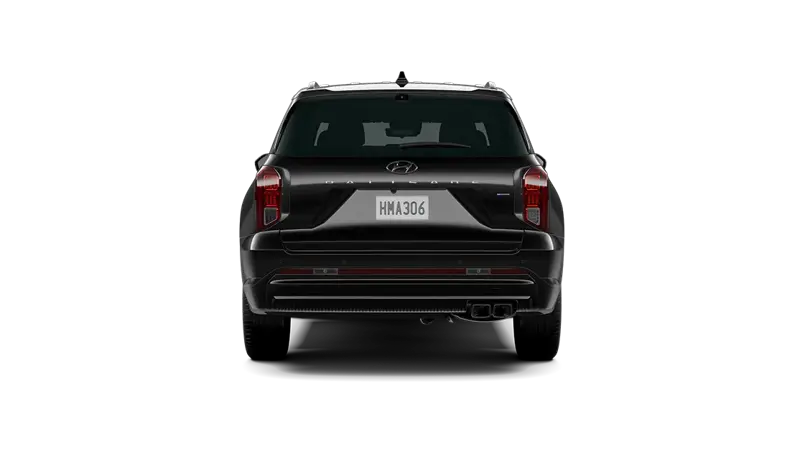 Hyundai Palisade - Back