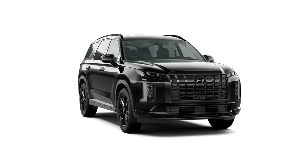 2025 Hyundai Palisade — BackRight