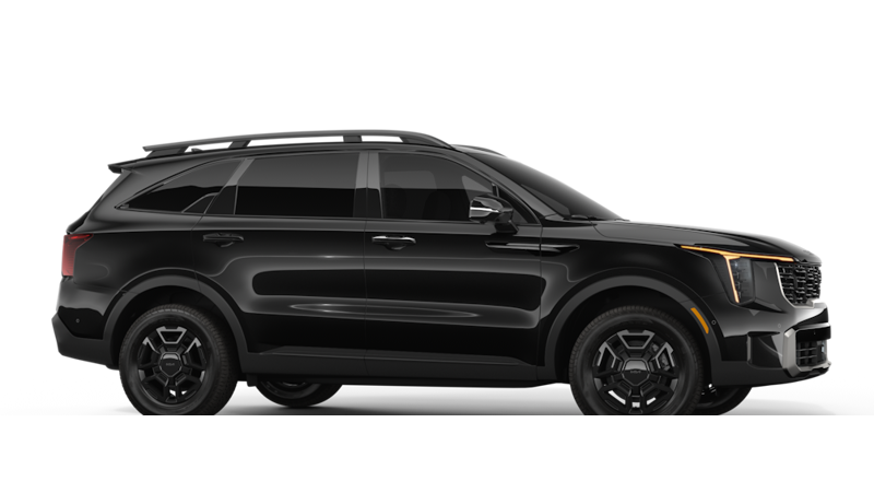 Kia Sorento - Back