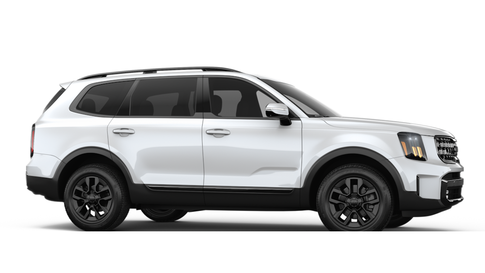 2025 Kia Telluride — Back
