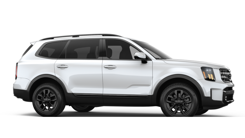 Kia Telluride - Back