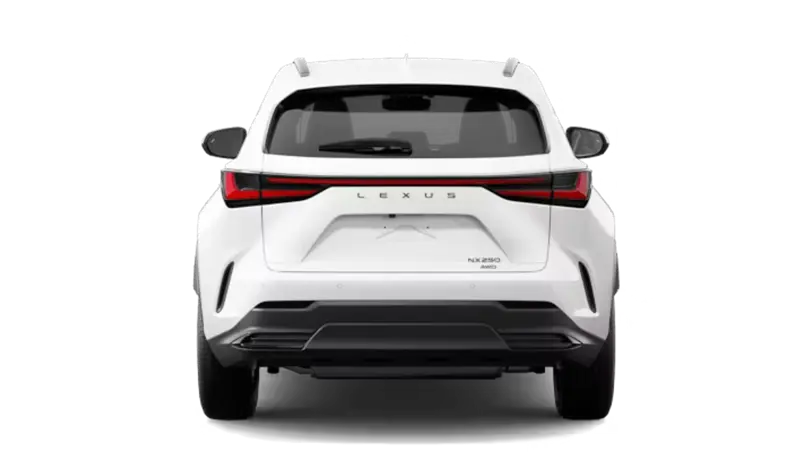 Lexus NX - Back