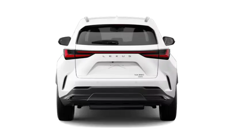 Lexus NX - Back