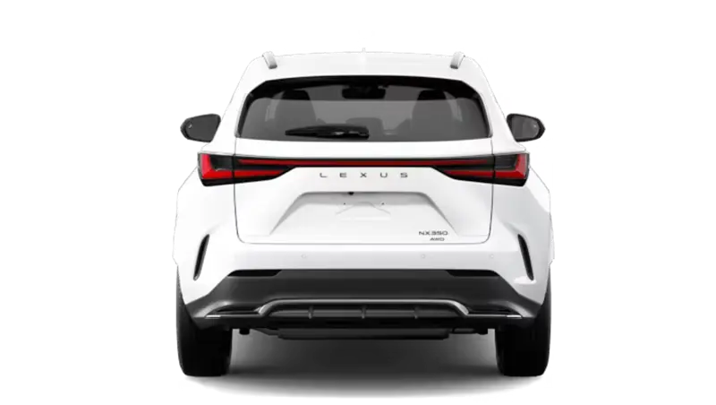 Lexus NX - Back