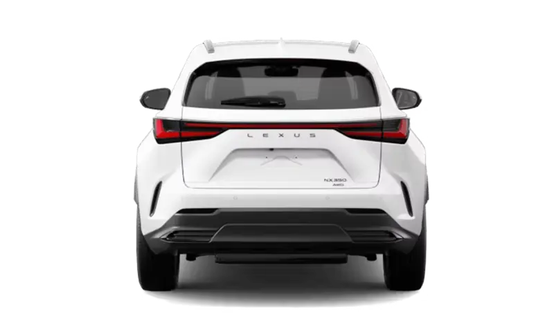 Lexus NX - Back