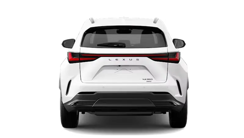 Lexus NX - Back
