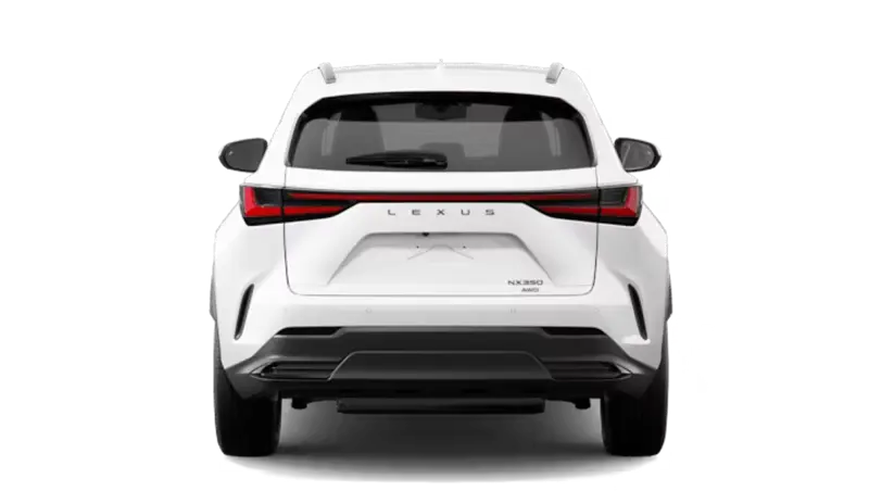 Lexus NX - Back