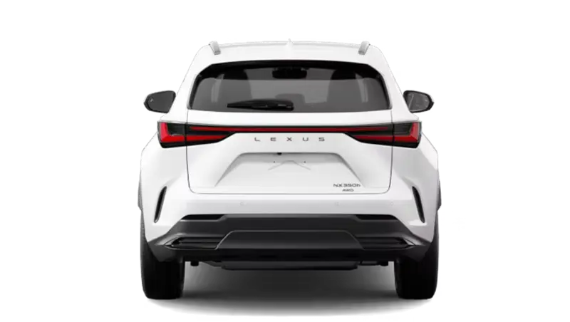 Lexus NXh - Back