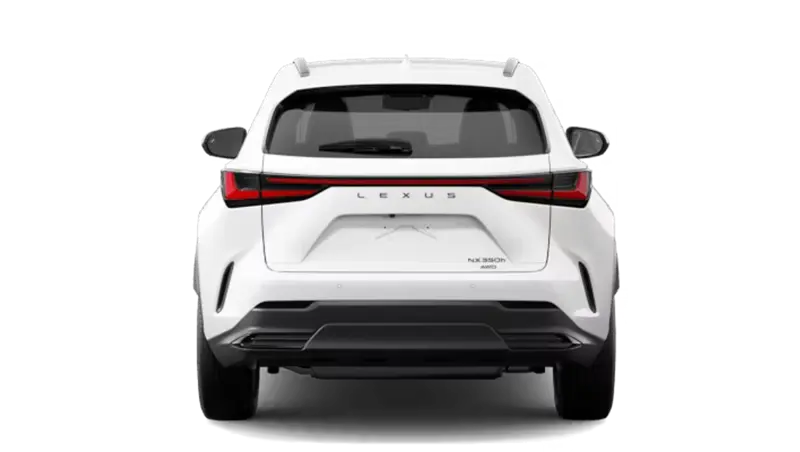 Lexus NXh - Back