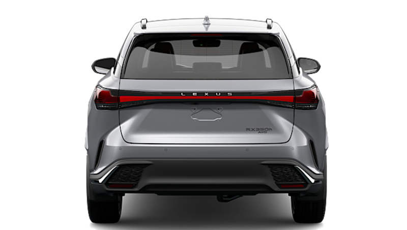 Lexus RX - Back