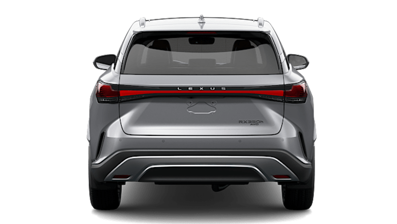 Lexus RX - Back