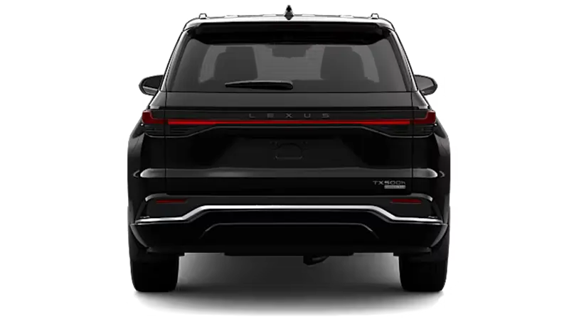 Lexus TXh - Back