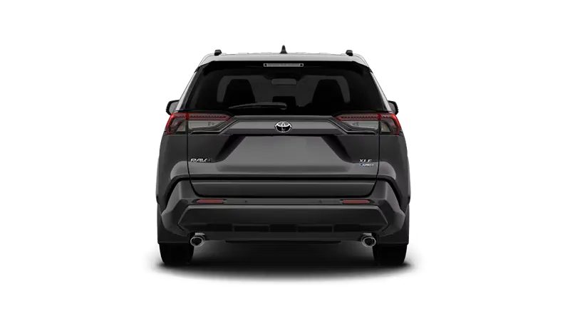 Toyota RAV4 Hybrid - Back