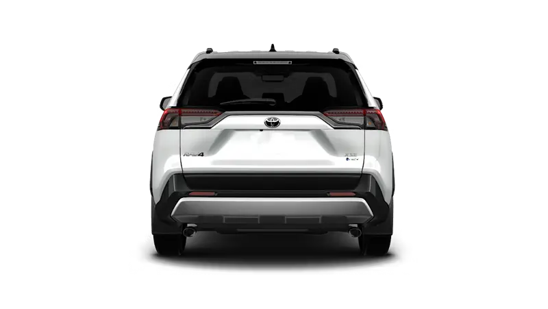 Toyota RAV4 Hybrid - Back
