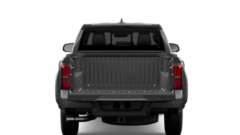 Toyota Tacoma - Back