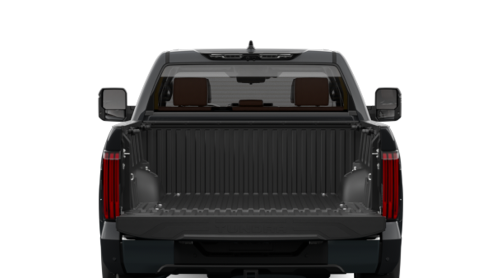 2025 Toyota Tundra — Back