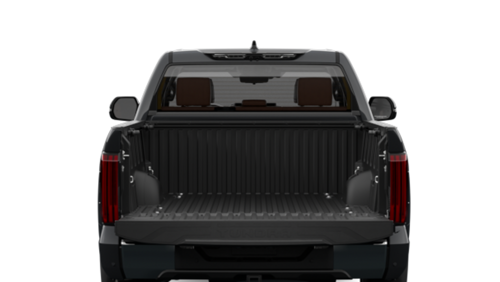 2025 Toyota Tundra — Back