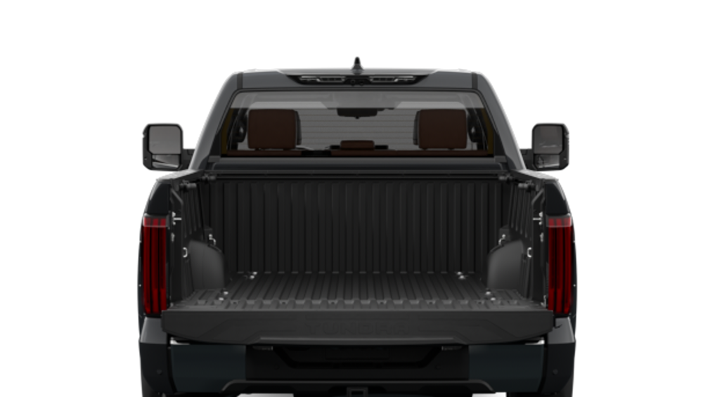 2025 Toyota Tundra — Back