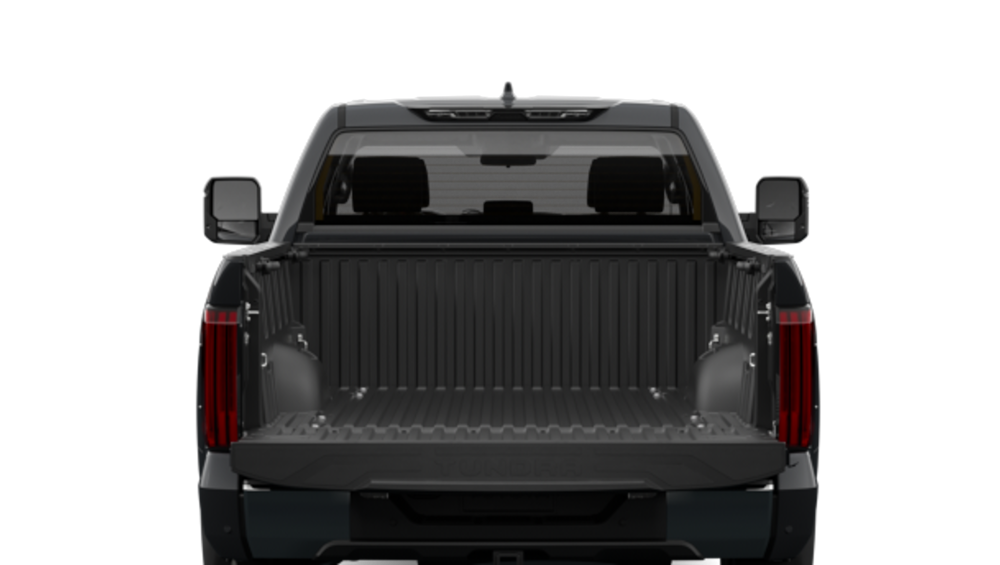 2025 Toyota Tundra — Back