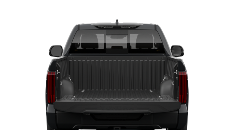Toyota Tundra - Back