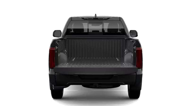 Toyota Tundra 4X2 - Back