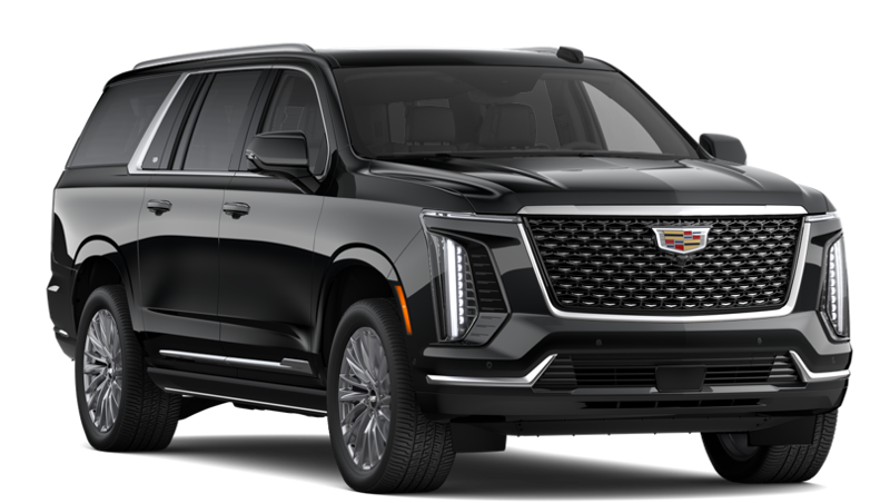 Cadillac Escalade Esv - Back