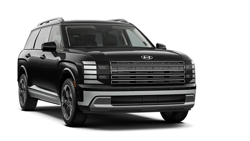 Hyundai Palisade - BackRight