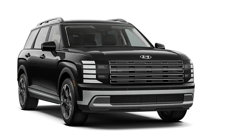 Hyundai Palisade - BackRight