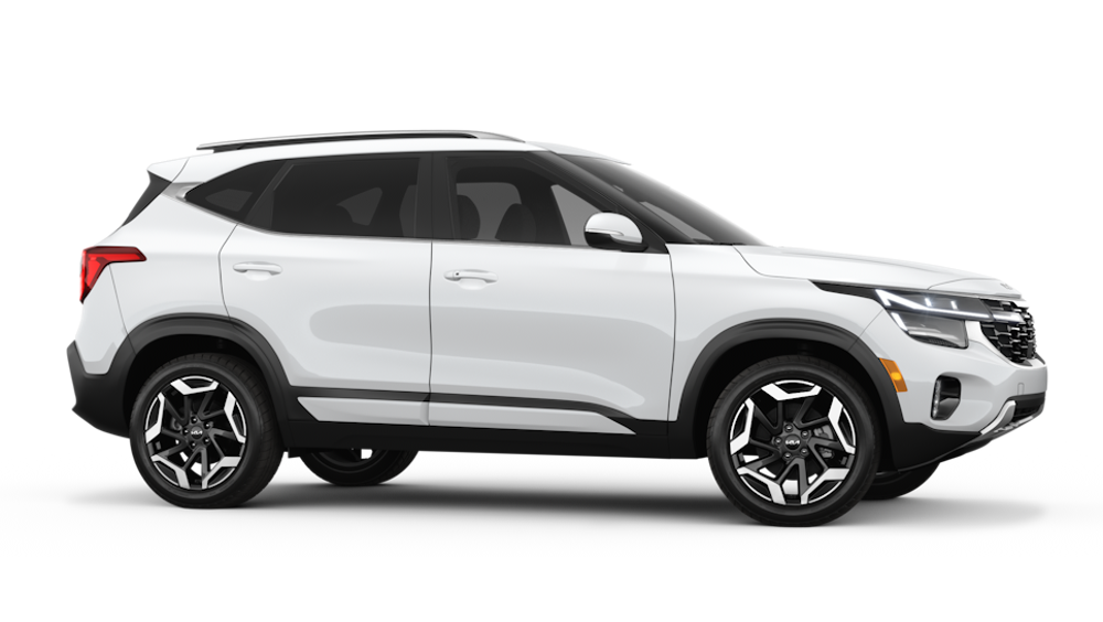 2026 Kia Seltos — Back