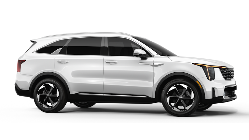 Kia Sorento HEV - Back