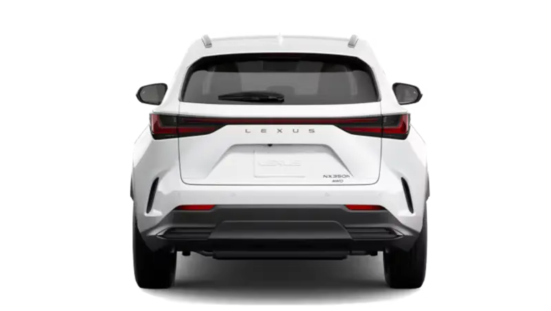Lexus NXh - Back