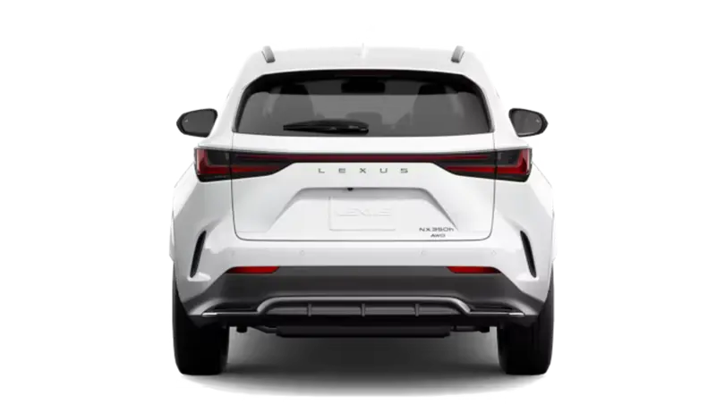 Lexus NXh - Back
