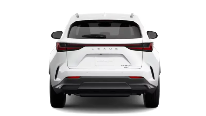 Lexus NXh - Back