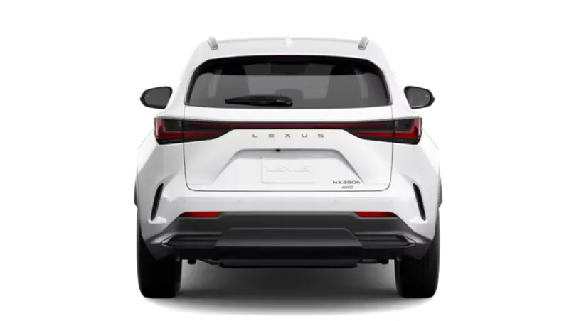 Lexus NXh - Back