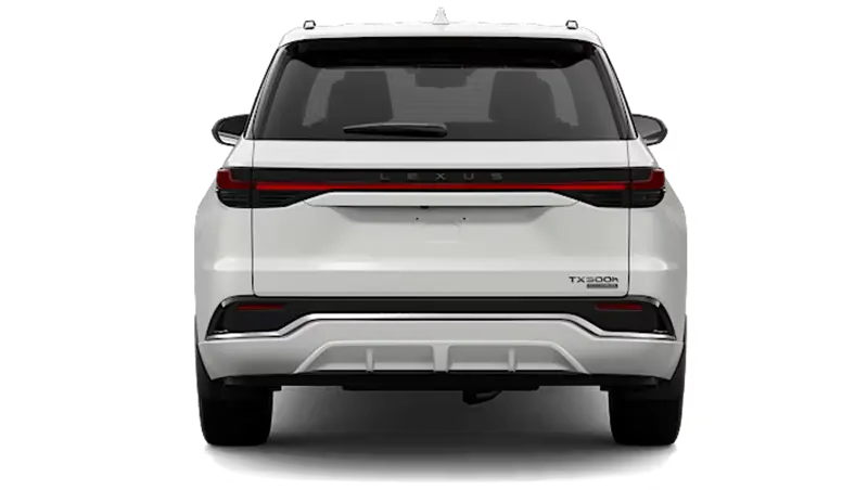 Lexus TXh - Back