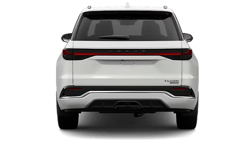 Lexus TXh - Back